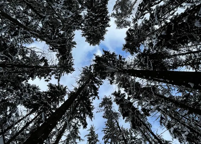 شقة Luxury - Blizej Zdroju